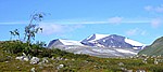 Panorama mit Birke in der Sarvesvagge