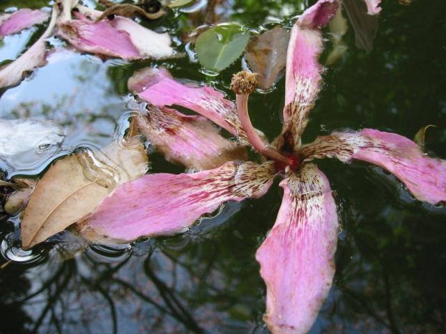 107-0759_IMG.JPG