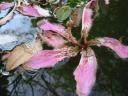 107-0759_IMG.JPG